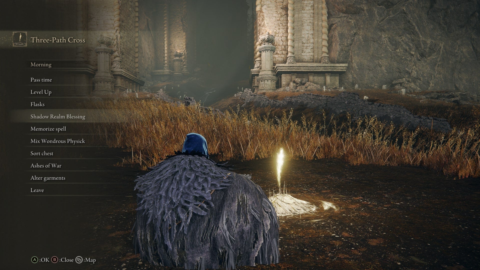 The player rests at a Site of Grace in Elden Ring Shadow of the Erdtree - 3