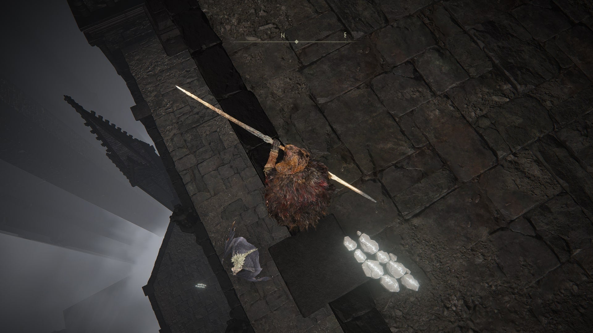 The Tarnished looks down from a ledge in Specimen Storehouse, where a bat can be seen in Elden Ring Shadow of the Erdtree - 5