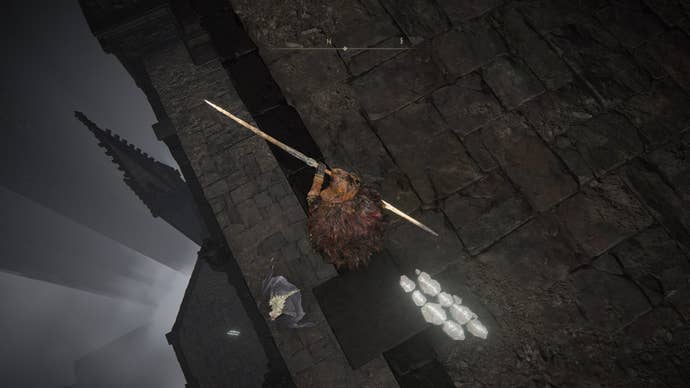The Tarnished looks down from a ledge in Specimen Storehouse, where a bat can be seen in Elden Ring Shadow of the Erdtree