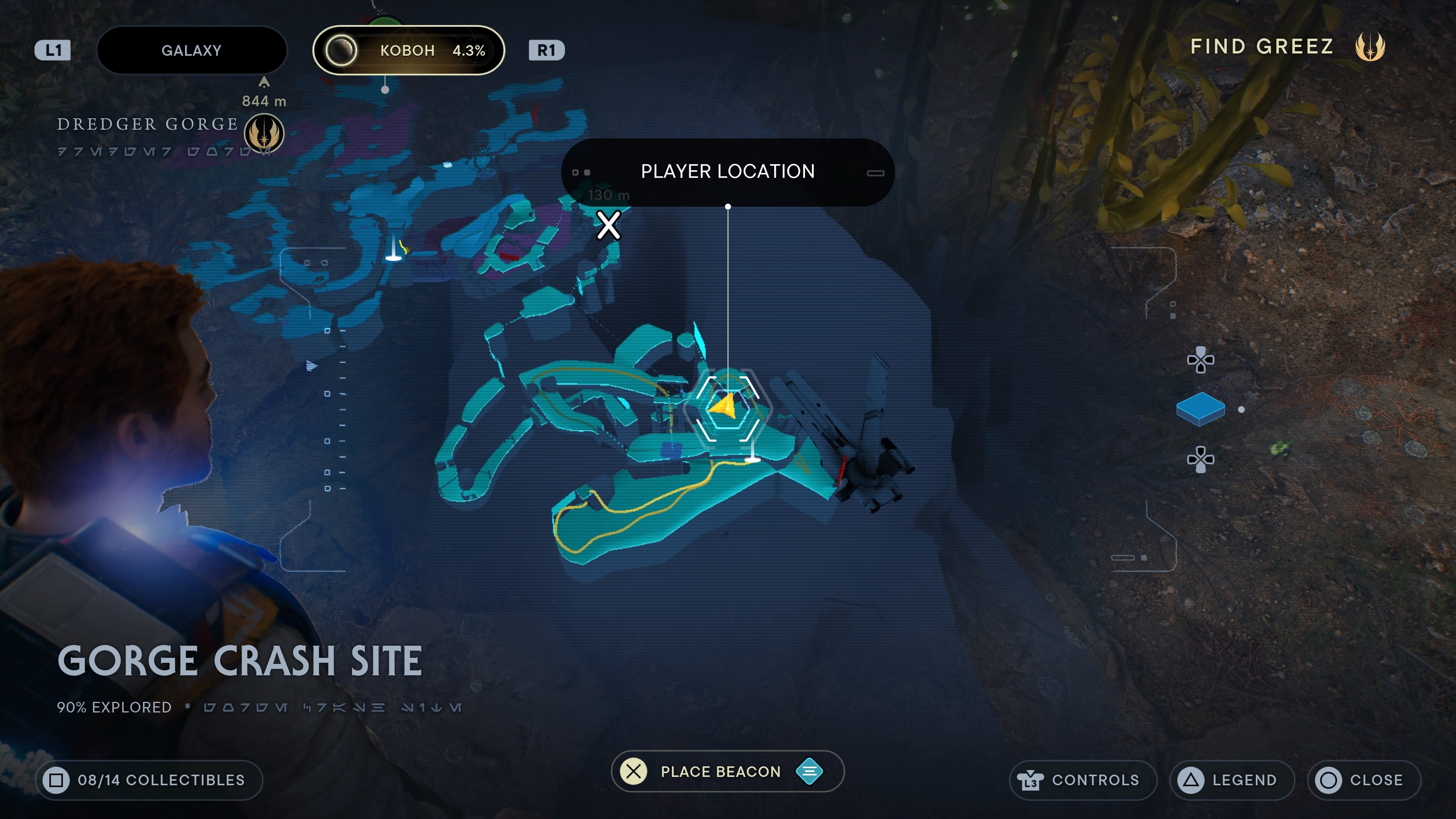 First seed in gorge crash site.