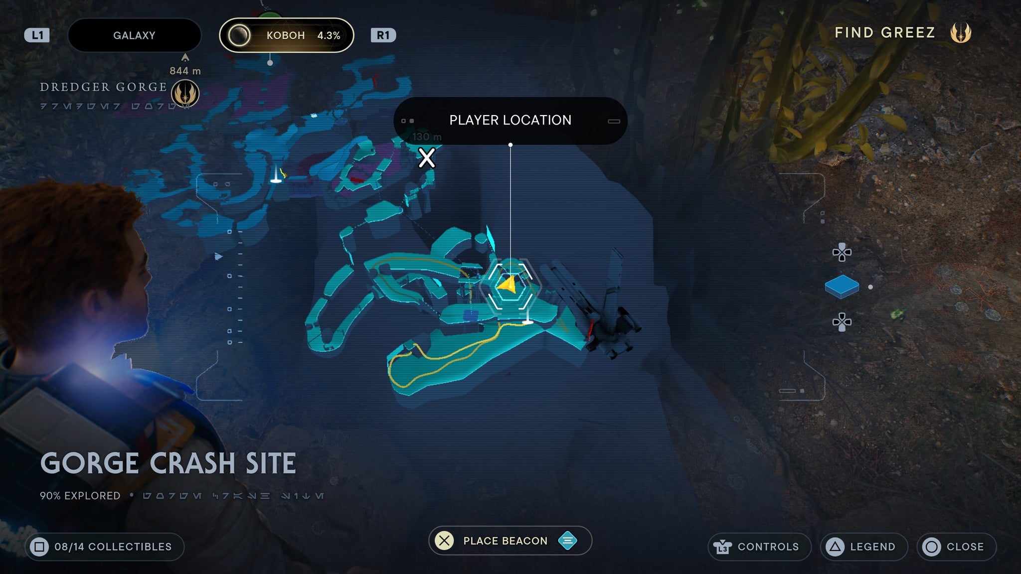 First seed in gorge crash site. - 3