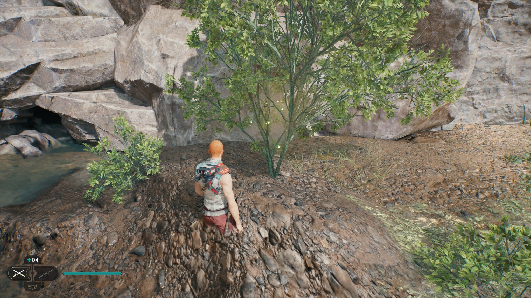 Seed in Star Wars Jedi: Survivor - 4