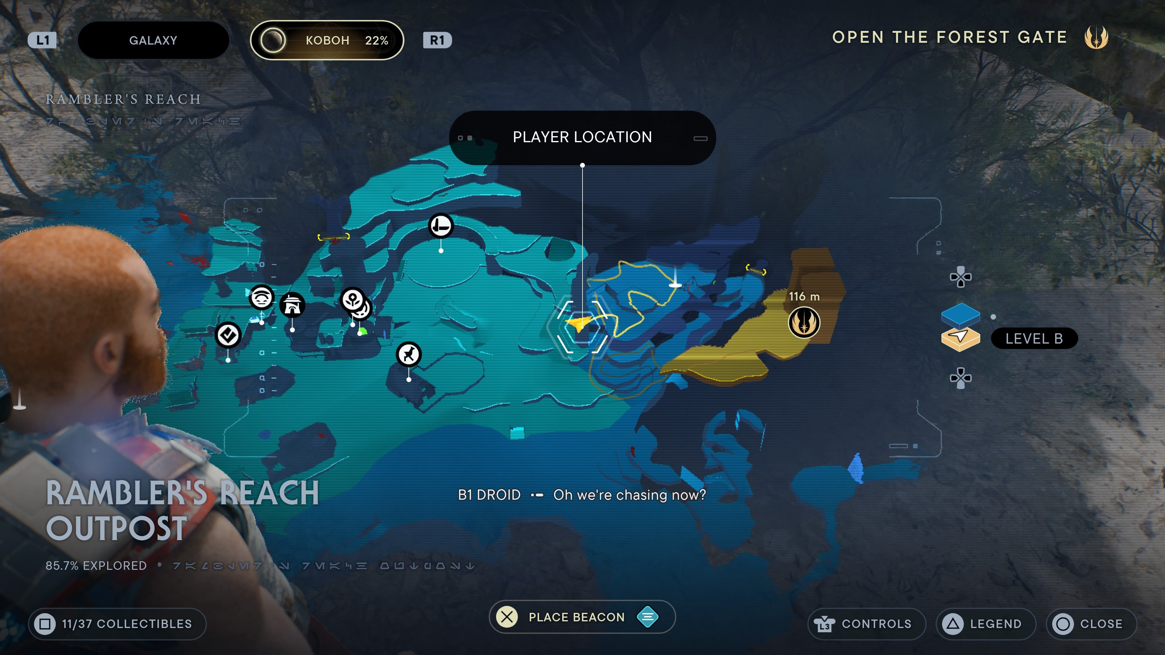 Swindler&rsquo;s Wash seed 2