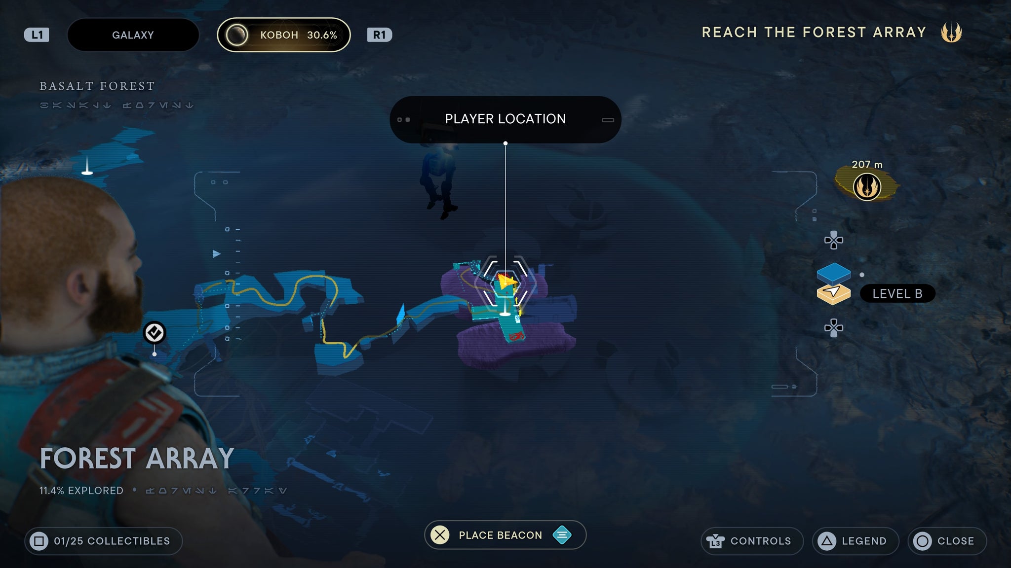 Forest Array scan 1 - 98