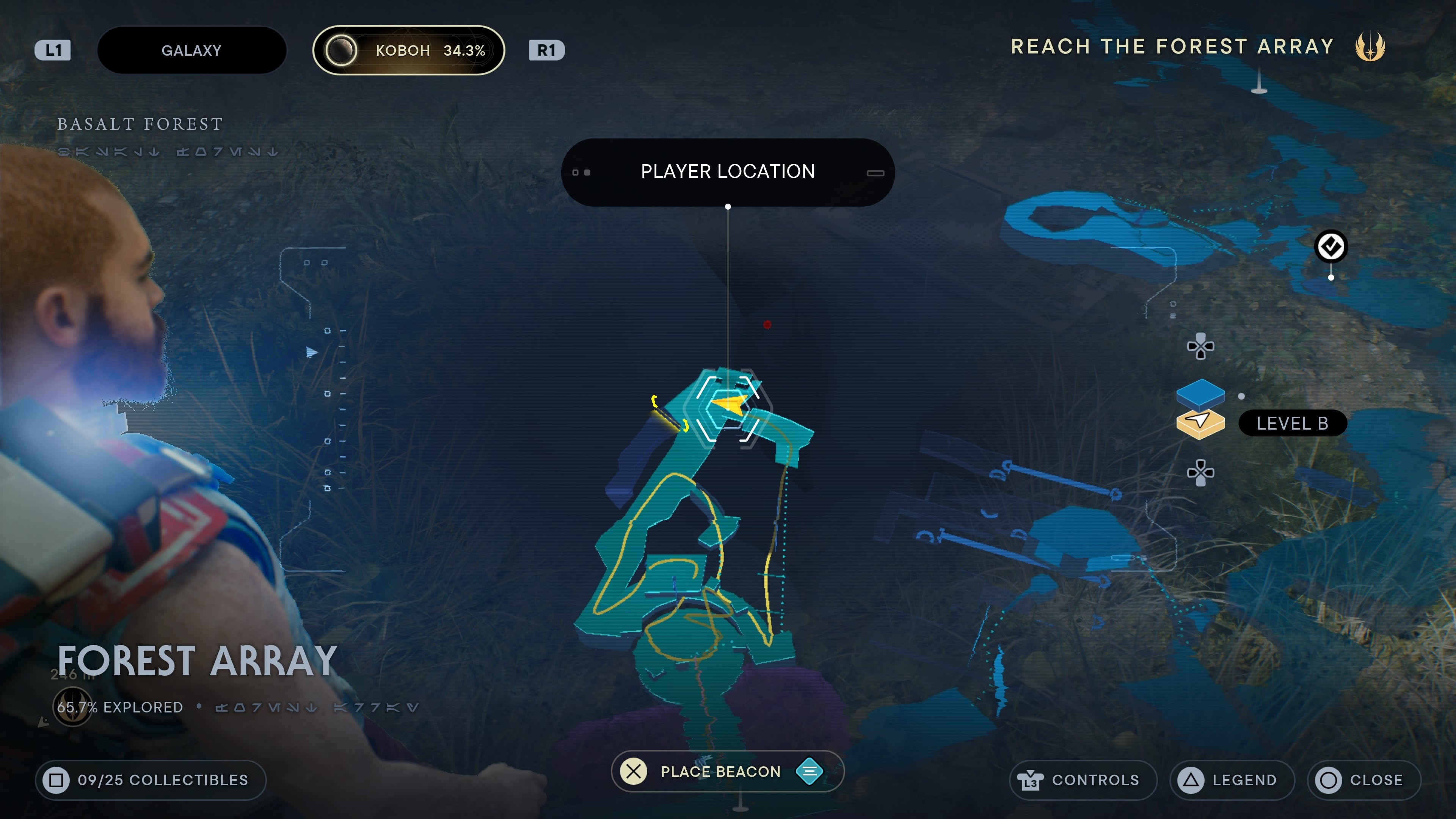 Forest Array essence 2