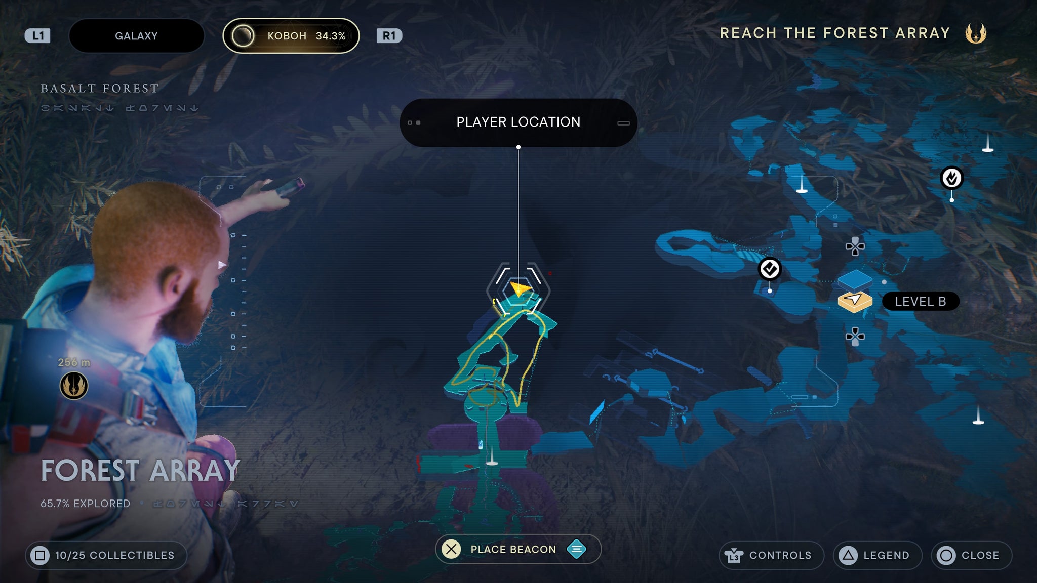 Forest Array seed 1 - 83