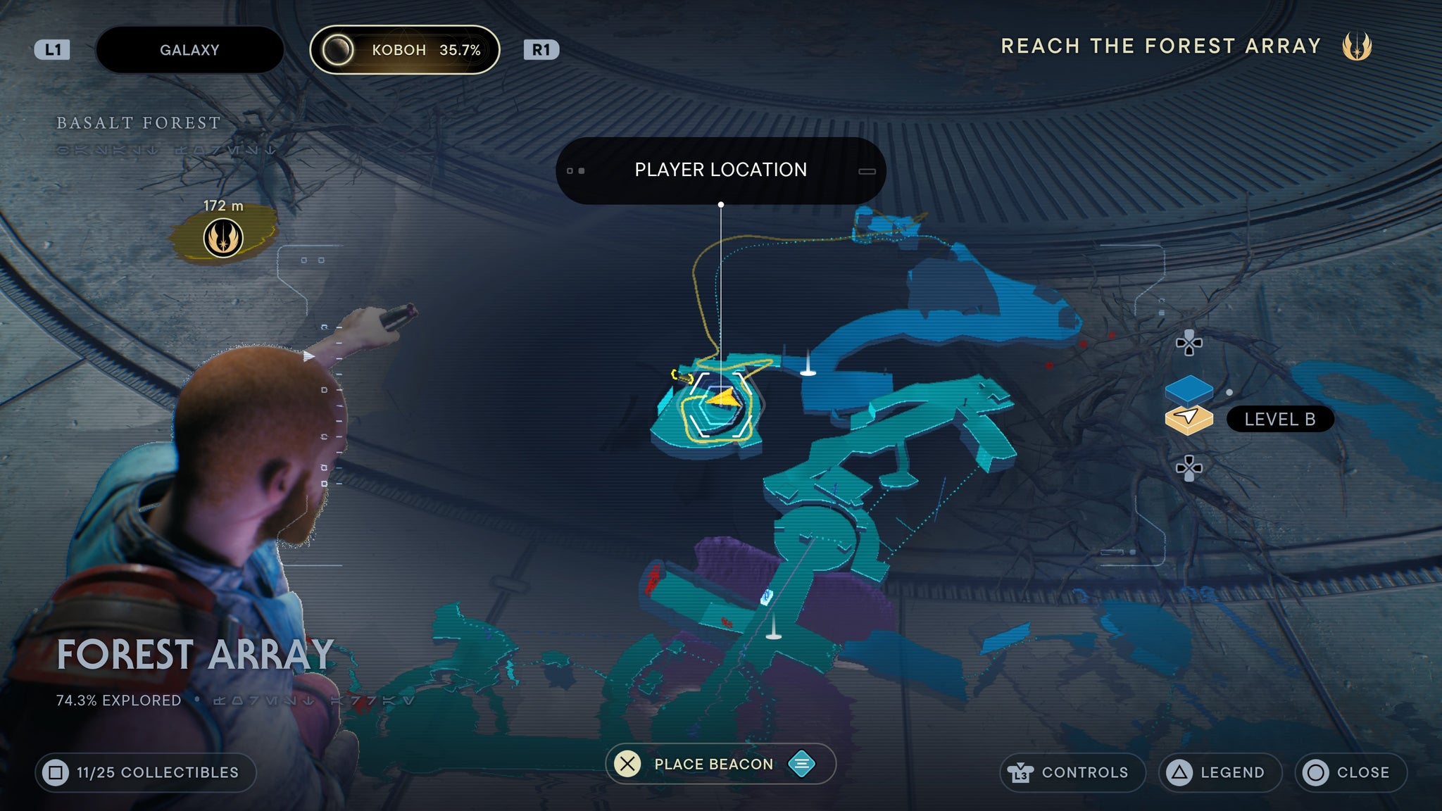 Forest Array scan 5 - 102