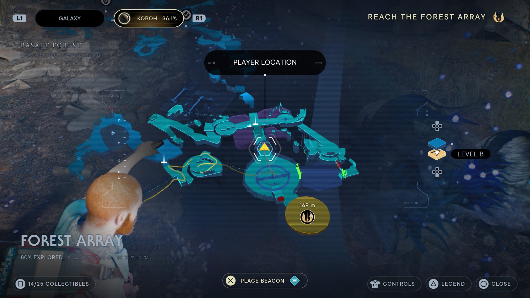 Forest Array treasure 2 - 63