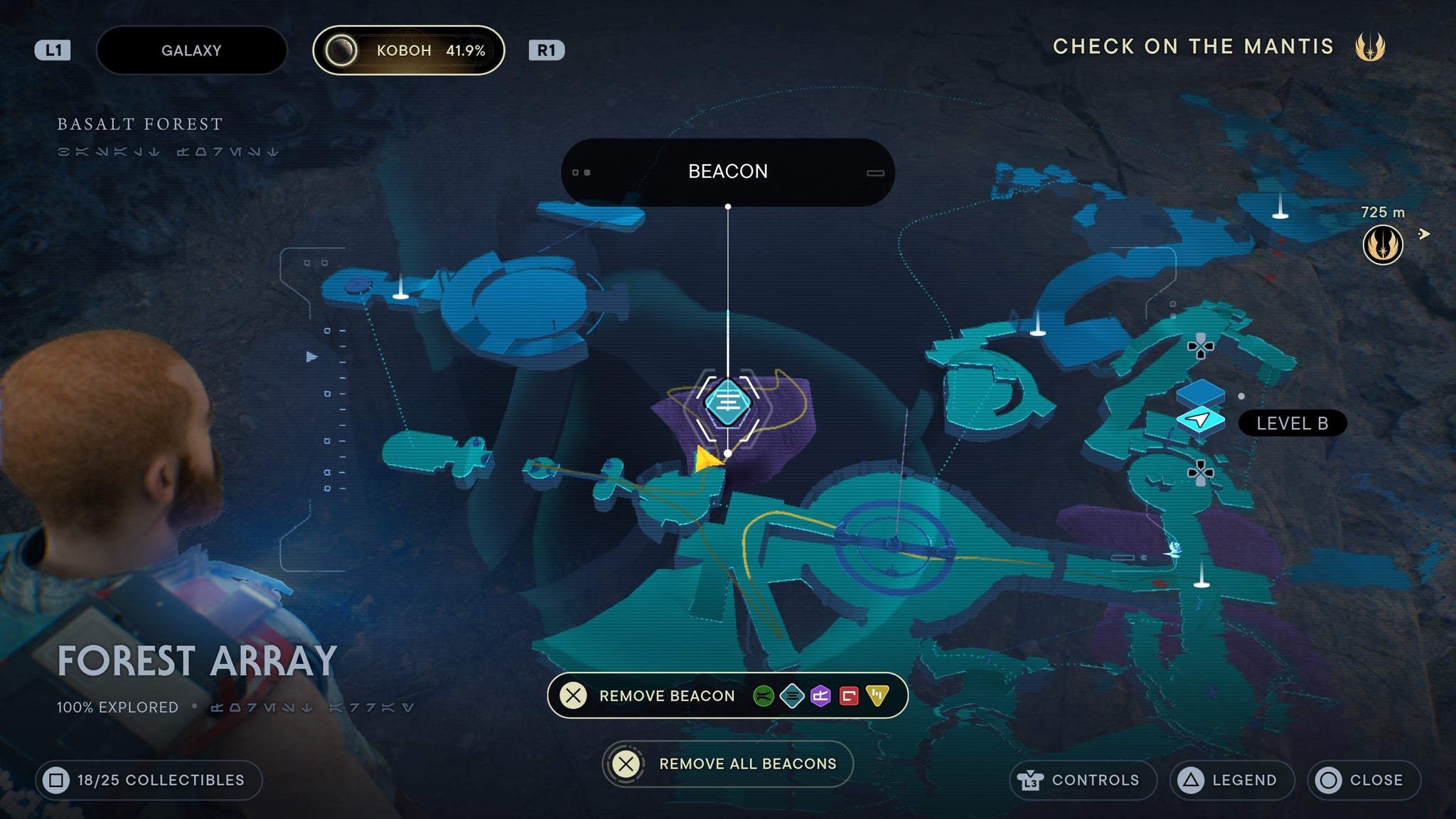 Forest Array treasure 6 - 67