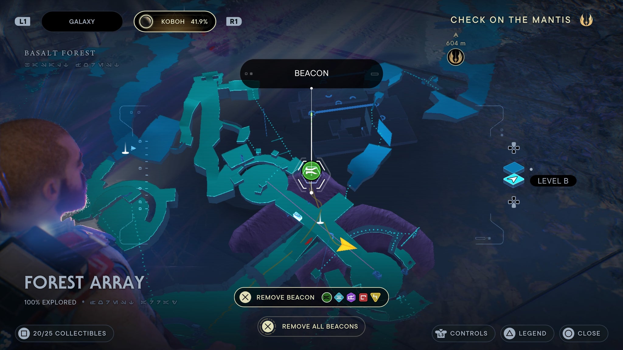 Forest Array treasure 4 - 65