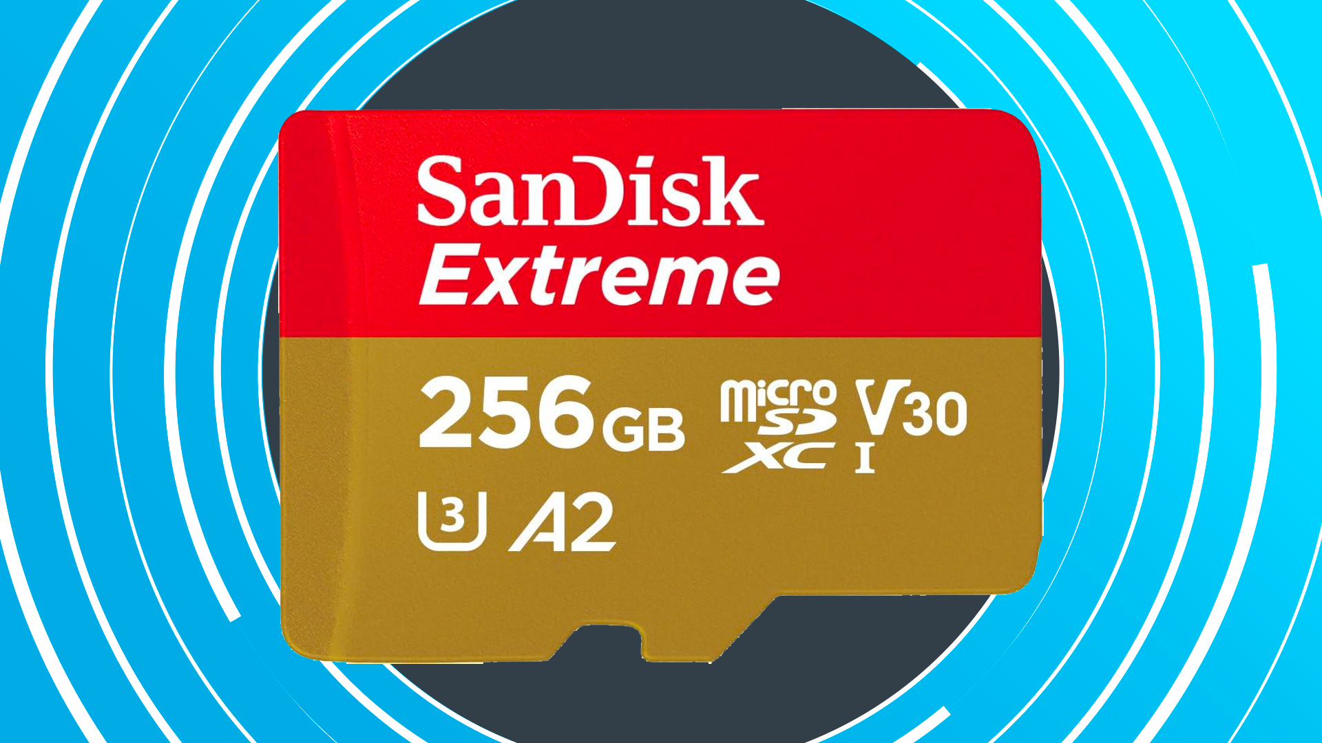 Amazon has slashed the price of this excellent 256GB SanDisk SD card to less than half price