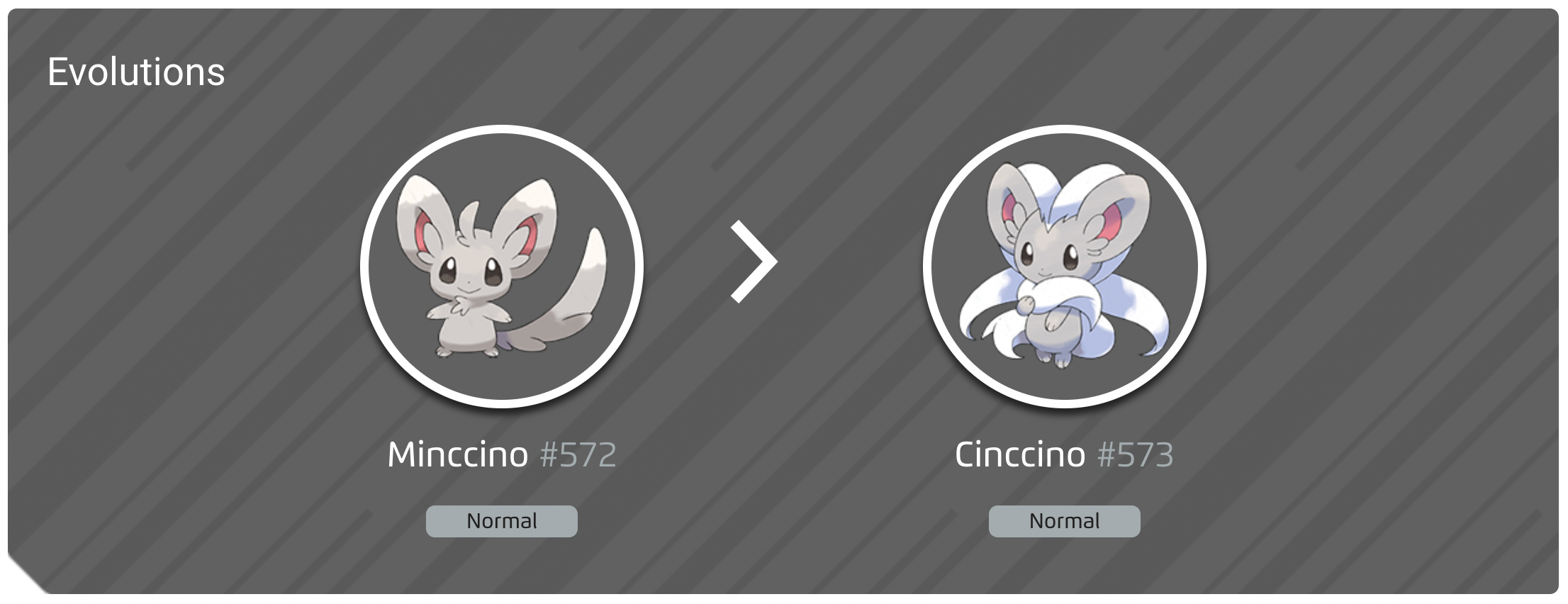 Minccino evolution line
