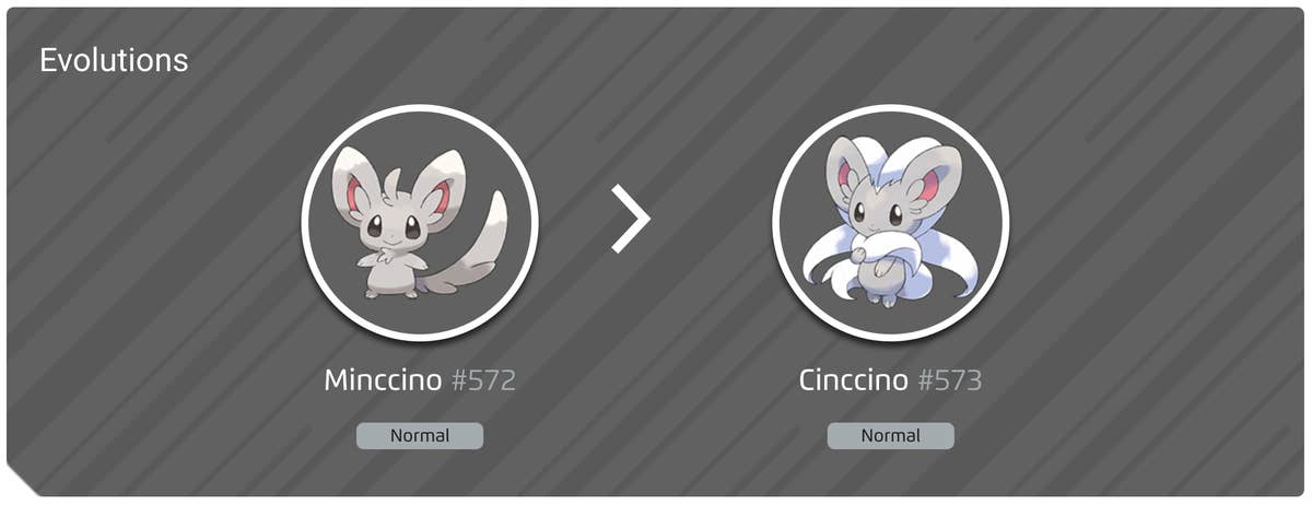 Minccino 100% perfect IV stats, shiny Minccino in Pokémon Go