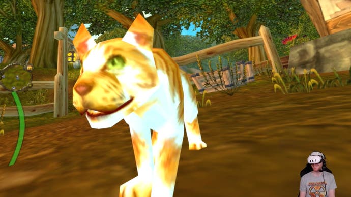 A close up of a happy Warcraft cat that Ian is peering at in first-person view