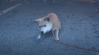A screenshot from Project G.G.'s teaser trailer showing an adorable little pup cowering on a street.