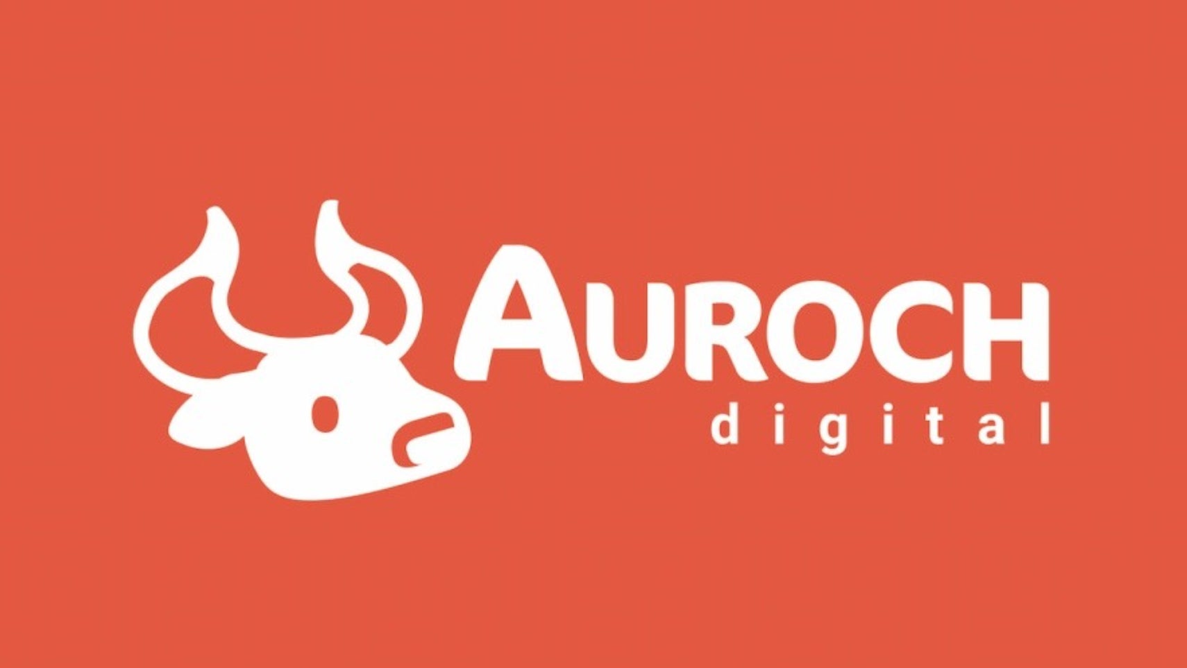 Компания Auroch Digital сократила численность своих сотрудников на 25%