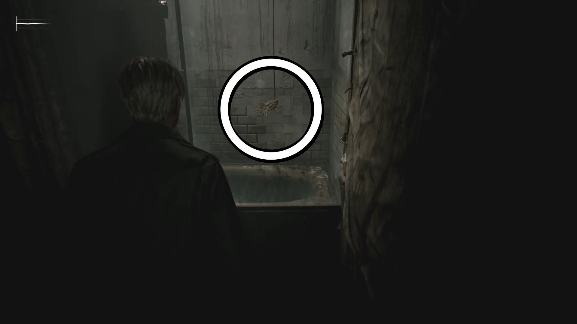 A white circle showing the moldy body of a swan figurine hanging from the ceiling above a bath in Silent Hill 2.