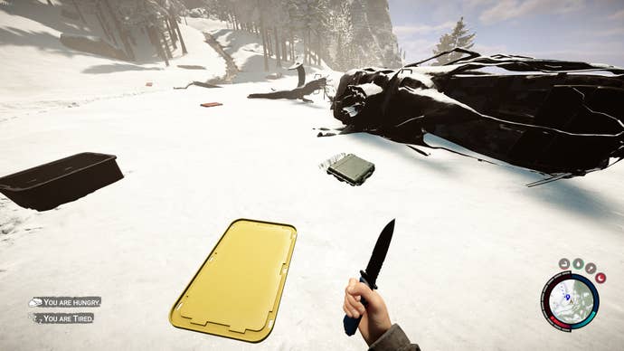 The player stands at the crash site in Sons of the Forest