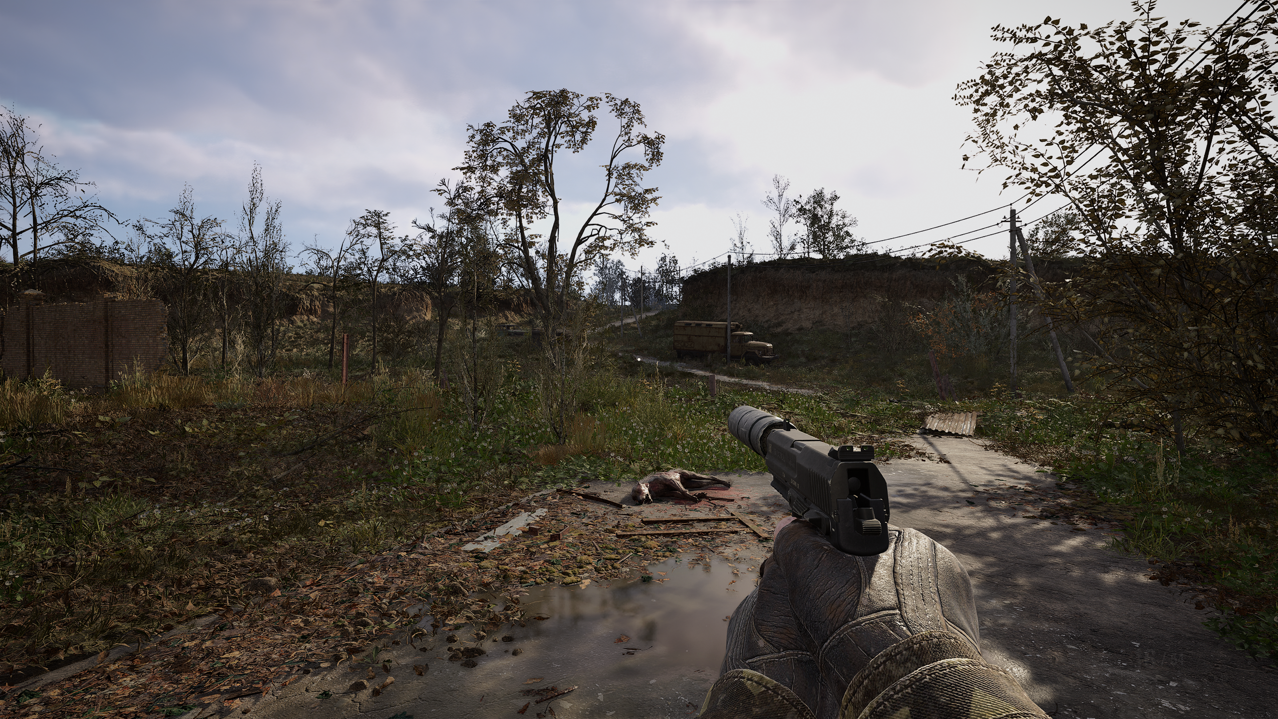 A wooded area of STALKER 2: Heart of Chornobyl, running on DLSS 4.5 Model M.