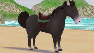 Story of Seasons A Wonderful Life horse and horse colours explained