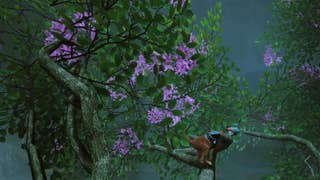 Stray Plant locations