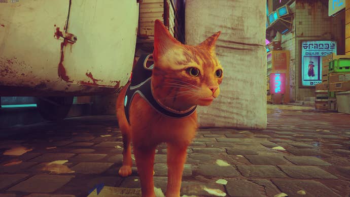 A close-up of Stray’s playable ginger tabby cat.