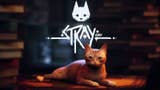 Stray promises a fascinating journey through the eyes of a cat