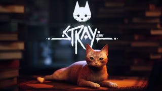 Stray promises a fascinating journey through the eyes of a cat