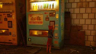 All Stray energy drink locations