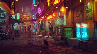 Stray Trophies and Achievements