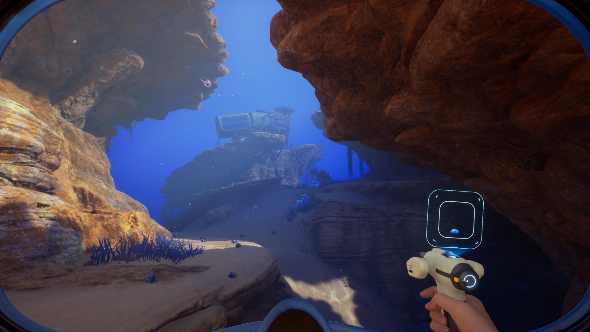 All Subnautica 2 Angel Comb locations | Eurogamer.net