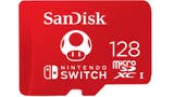 Nintendo Switch Micro SD card
