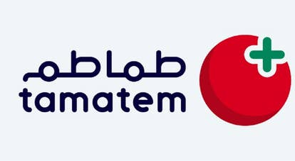 Krafton leads $11m funding round in Tamatem Games