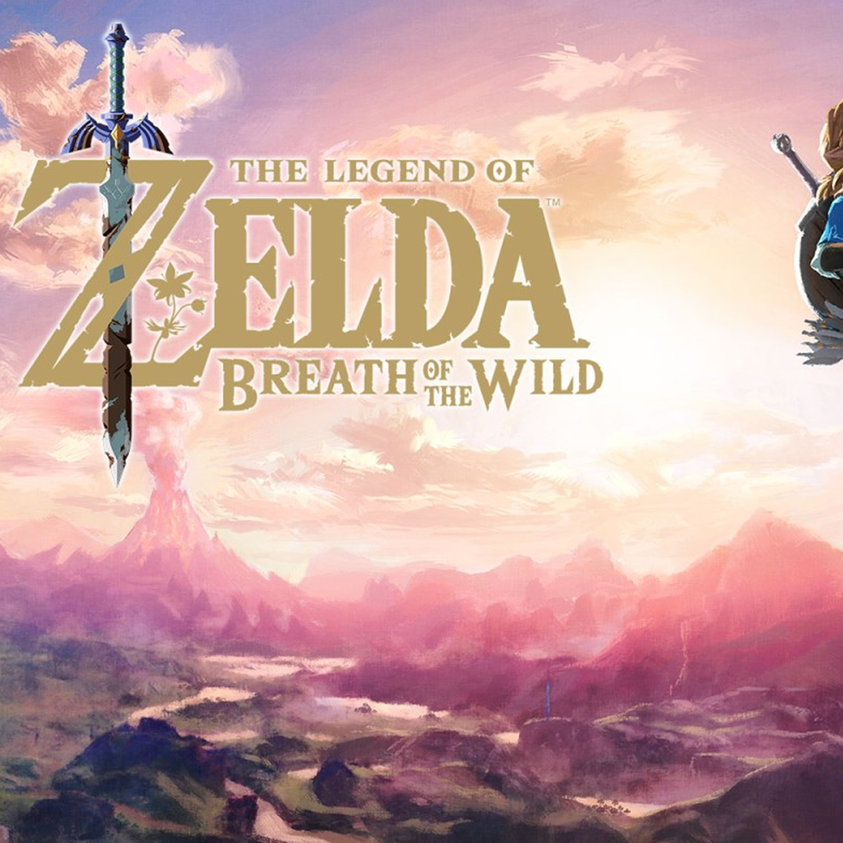 Breath of the wild best sale switch store