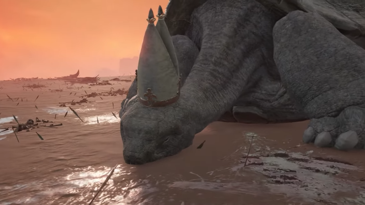 BjornTheBear&rsquo;s winning turtle pope