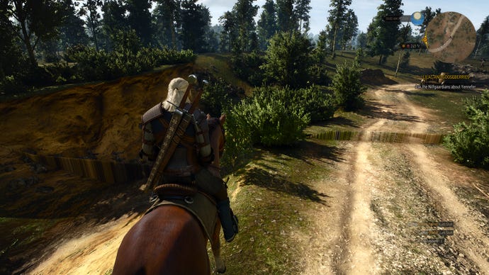 A grassy glitch in The Witcher 3: Wild Hunt’s Next-Gen update.