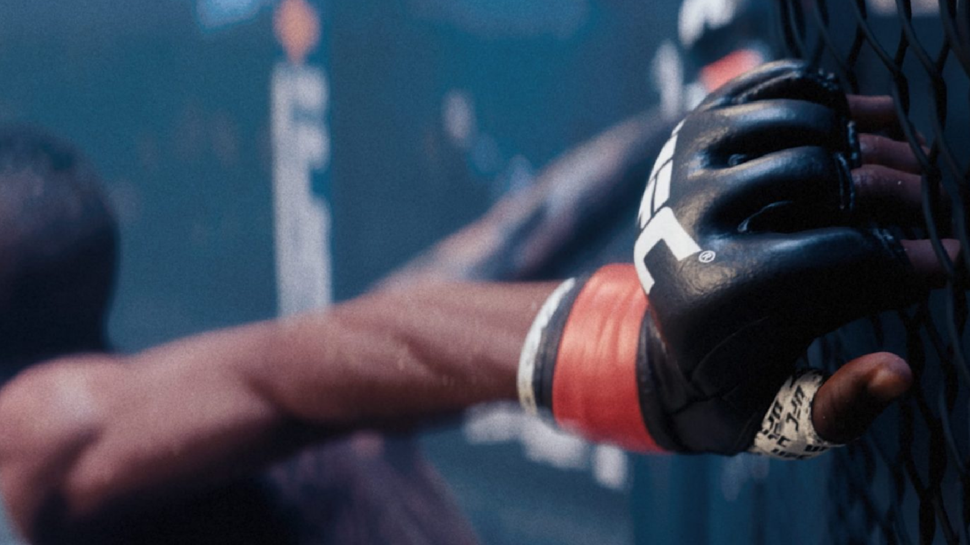 UFC 6 EA setzt laut Insider auf bewährten ZweijahresRhythmus