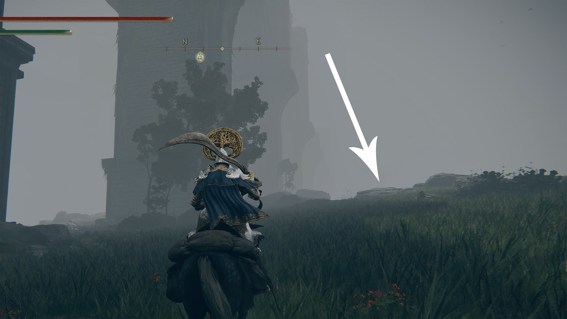 Cliff edge leading to the Deathtouched Catacombs in Elden Ring. - 4