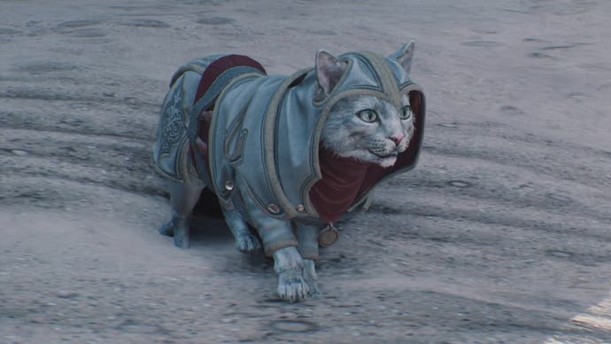 Assassin's Creed Mirage's new cat Assassin Easter egg.