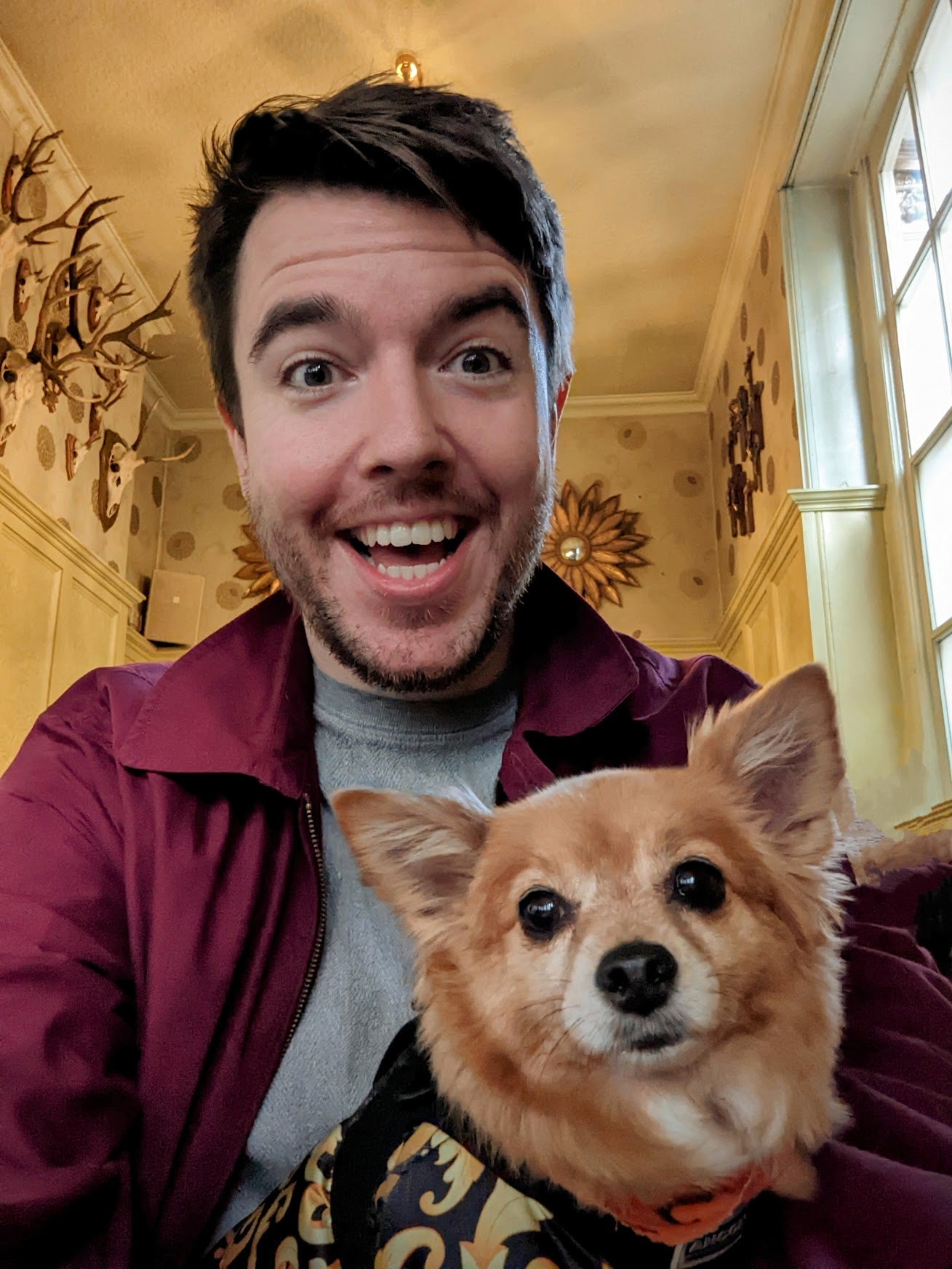 Steve Hogarty avatar