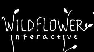 Naughty Dog alum Bruce Straley announces Wildflower Interactive studio