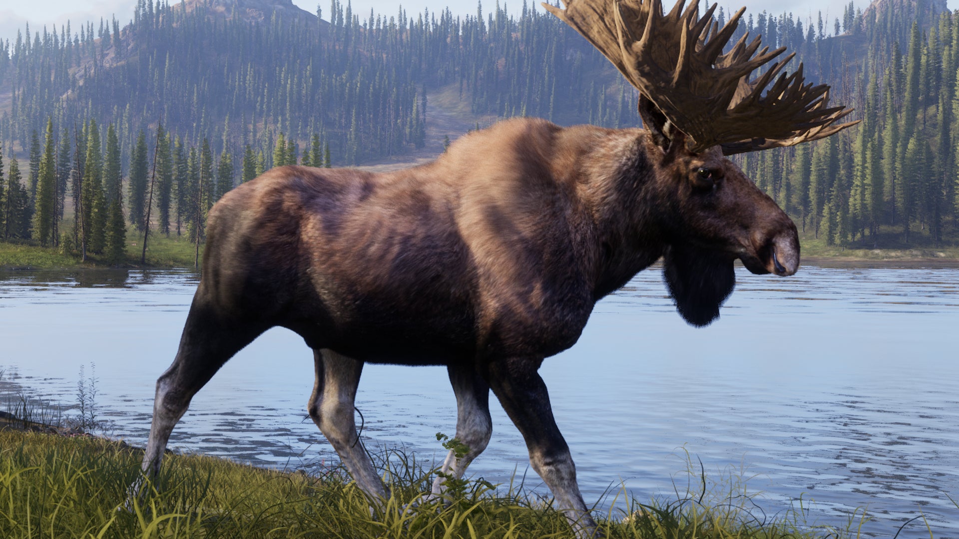 Way of the Hunter 2: Finale Version 1.0 und Konsolen-Fassungen haben ein Release-Datum