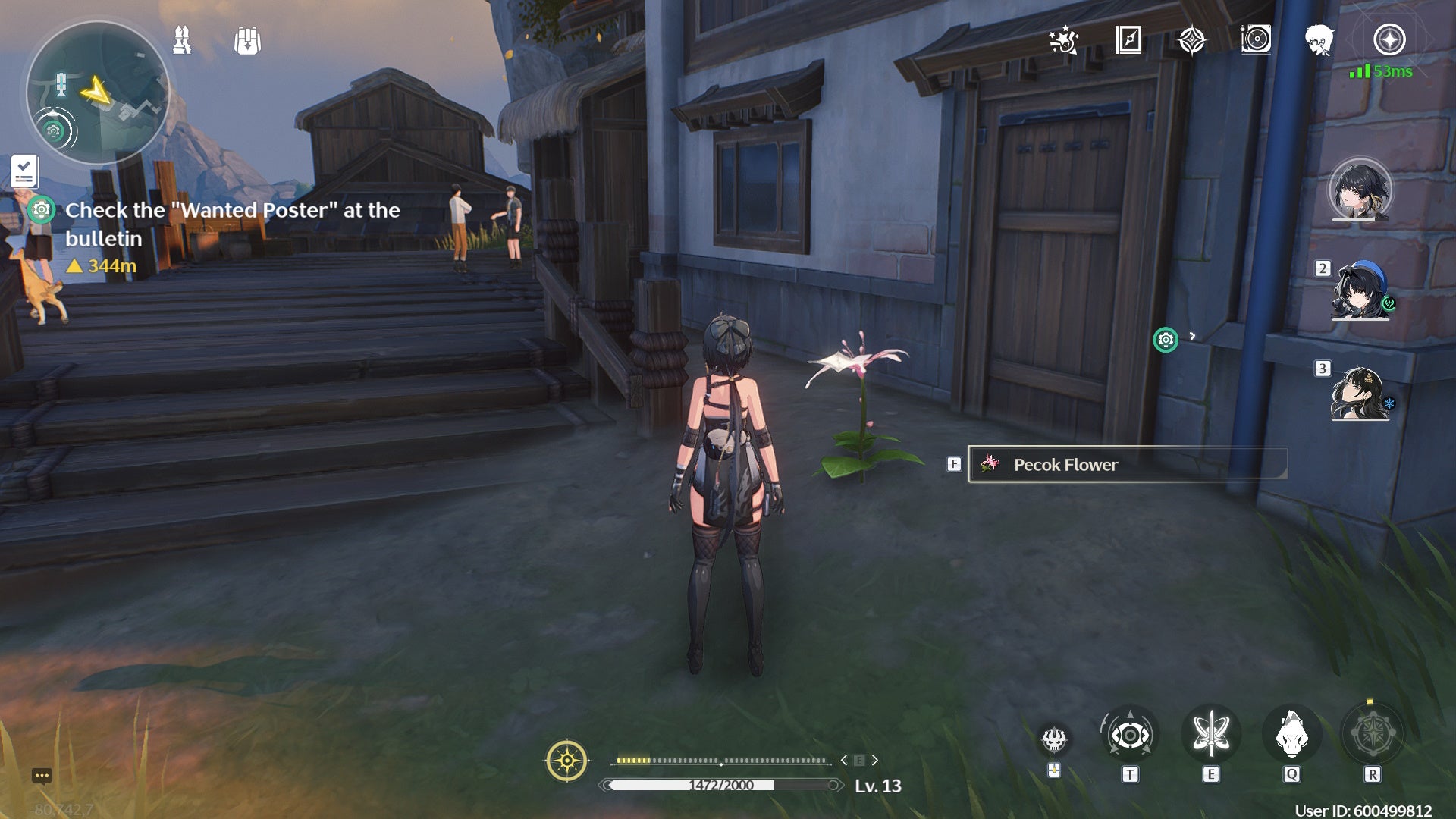 The female Rover looking at a Pecok Flower in Wuthering Waves.