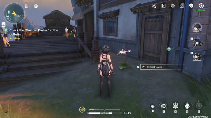 The female Rover looking at a Pecok Flower in Wuthering Waves.