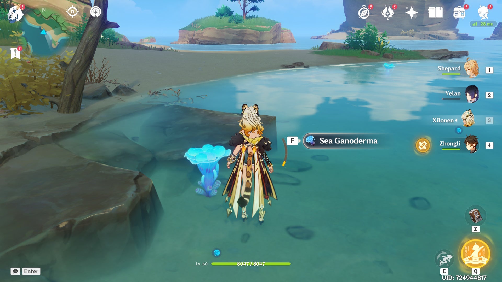 Xilonen looking at Sea Ganoderma in Genshin Impact.