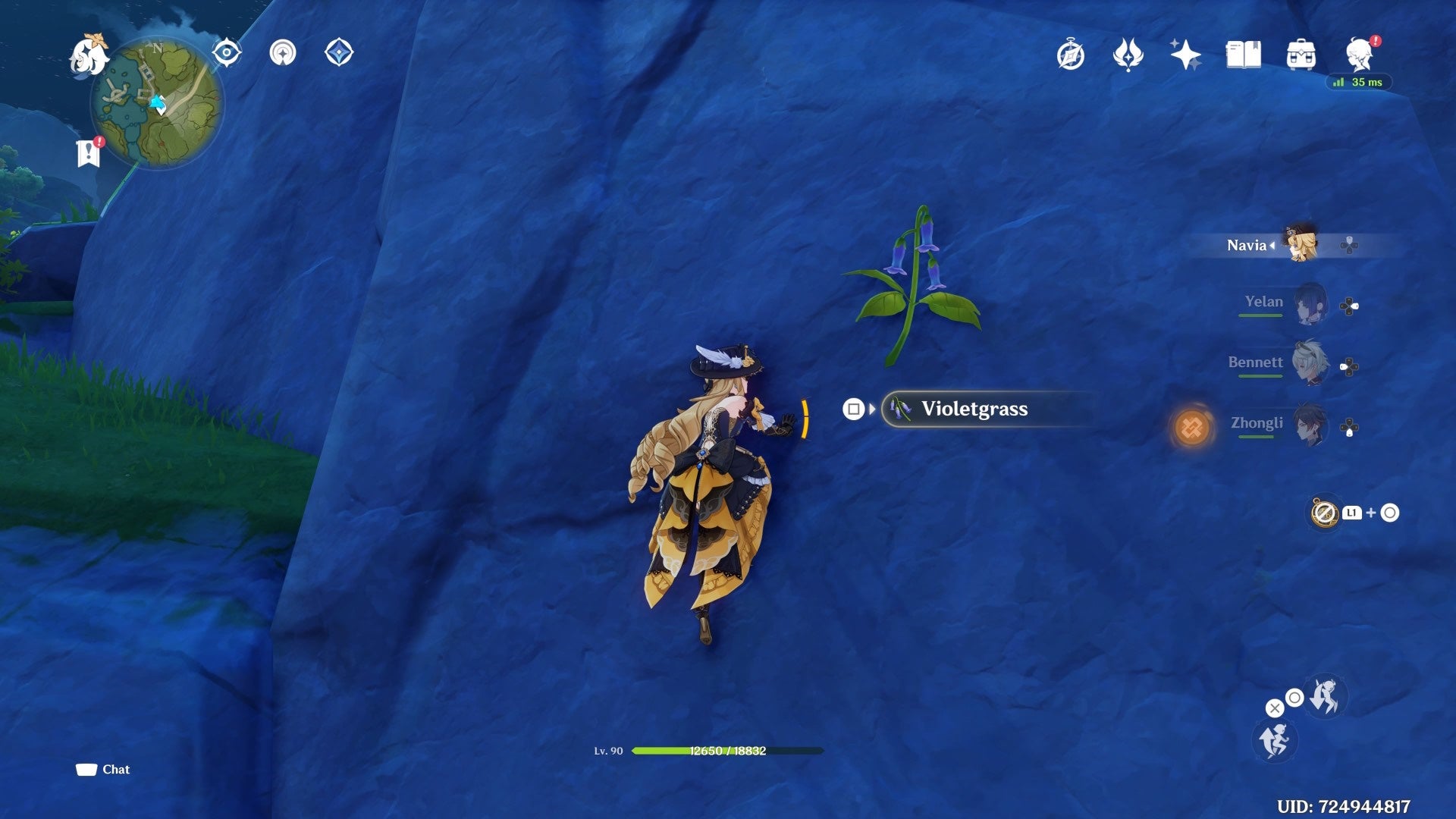 Navia climbing beside a Violetgrass growing from a Cliff in Genshin Impact.