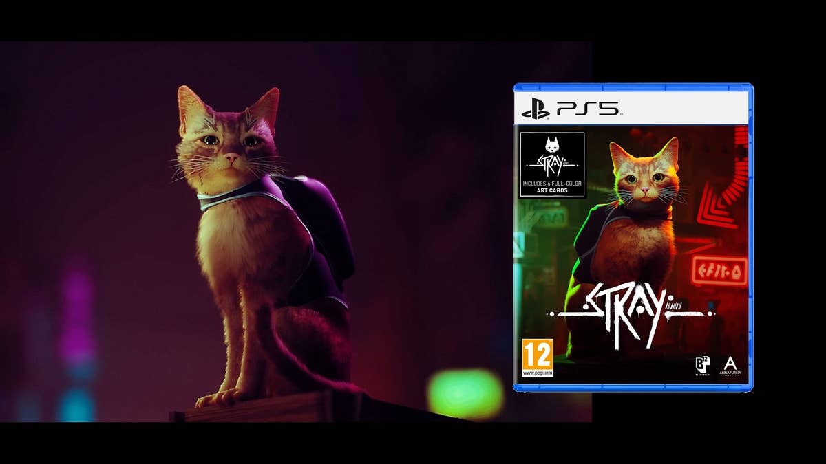 Cat game deals ps5