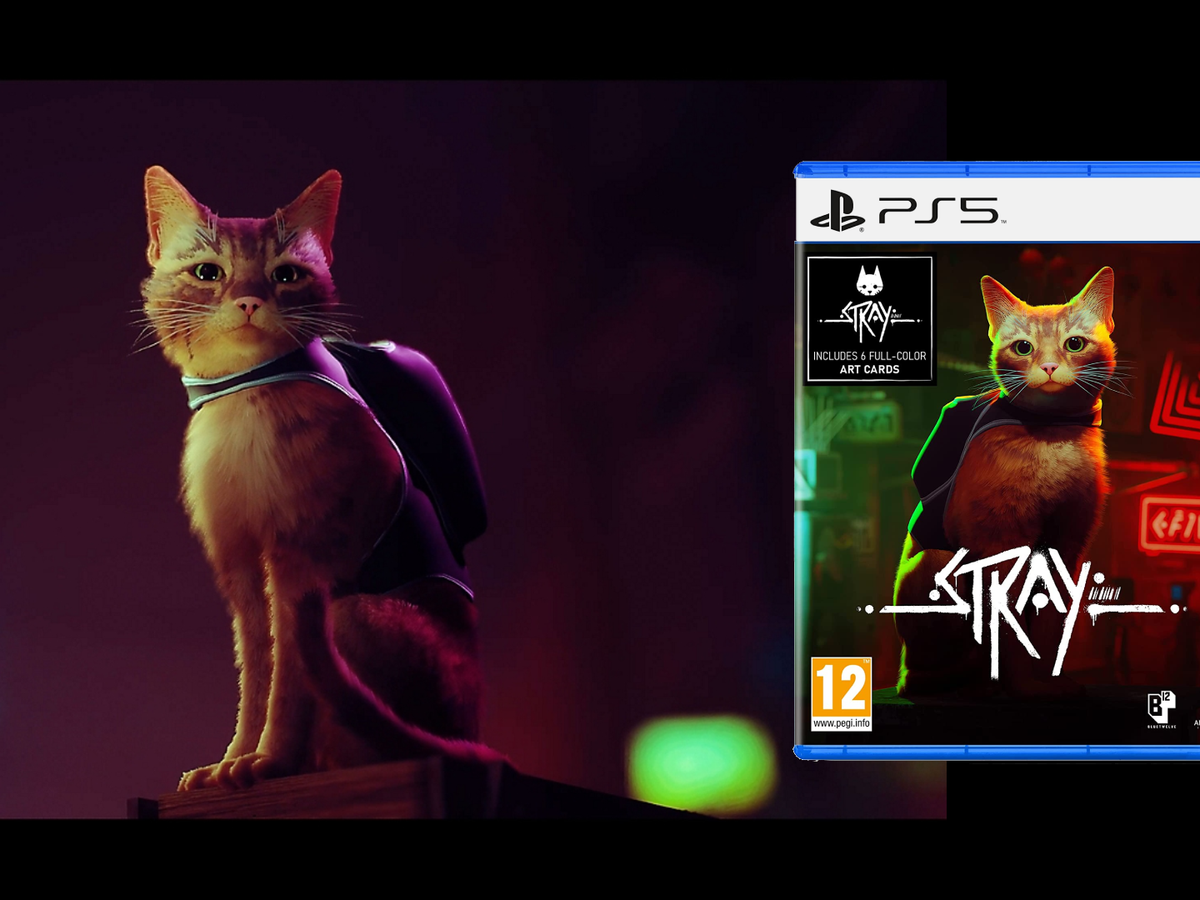 Cat ps5 hot sale