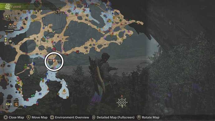 Circled map view of a Dapperwing location in Monster Hunter Wilds.