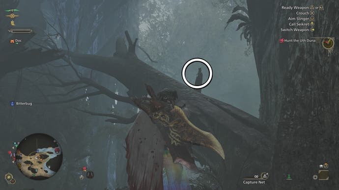 A circle showing a Dapperwing perched on a tree trunk during a downpour in Monster Hunter Wilds.